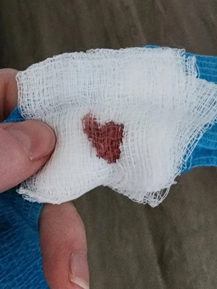 "Ok this one may not be for everyone. A true bleeding heart." - Chelsea Haining of Washington