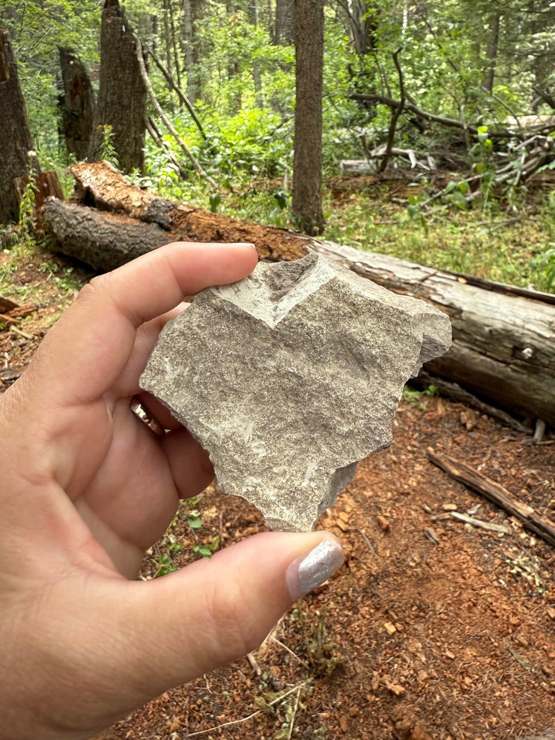 My mom and I took a road trip to Idaho one day last summer and stopped for a short hike on the Scout Mountain Nature Trail. We found this heart there!