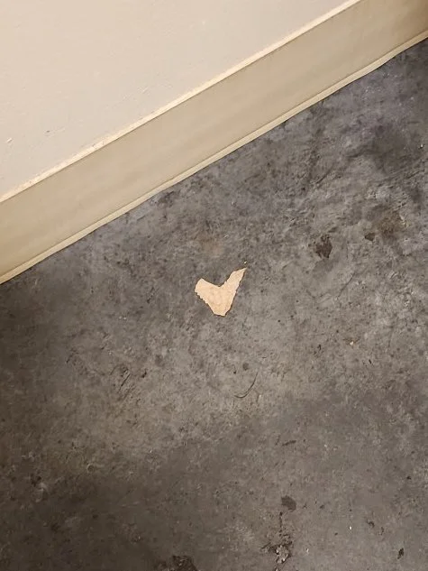 This heart photo was captured in a bathroom by Chelsea Haining of Washington.