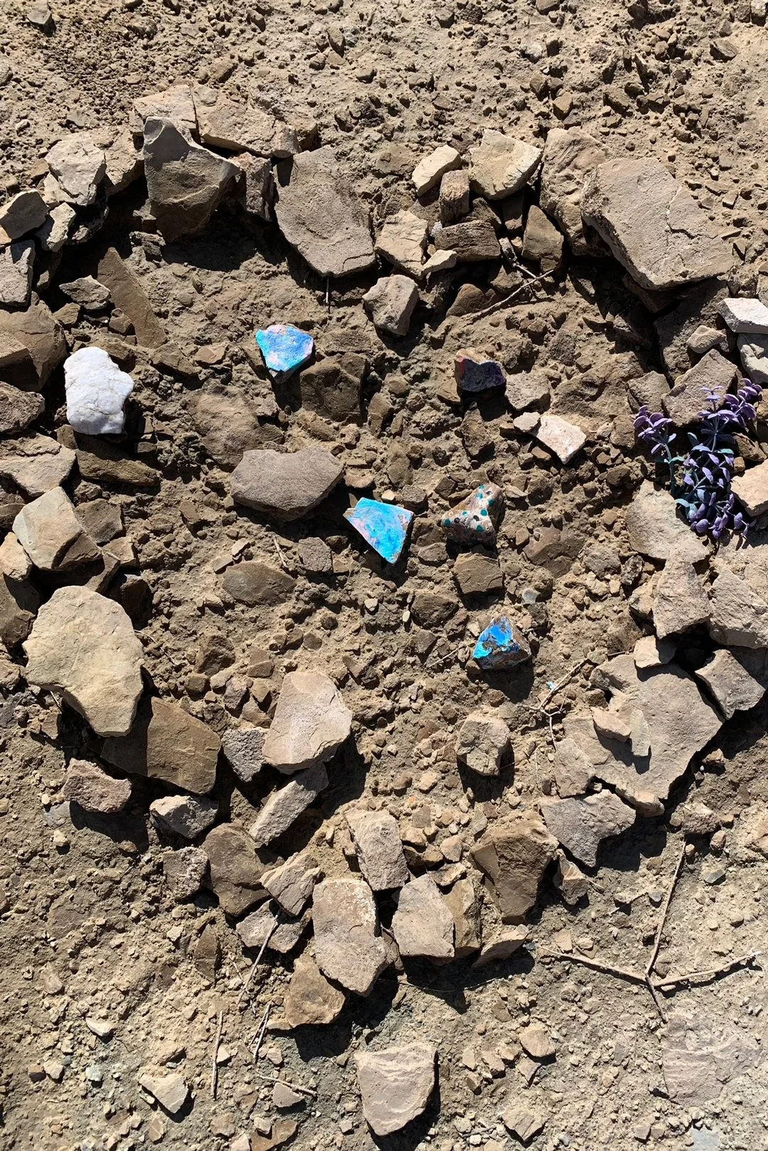 Shawn Harrison captured this collection of rocks that make a heart on the Aspiration Trail in St. George, Utah.