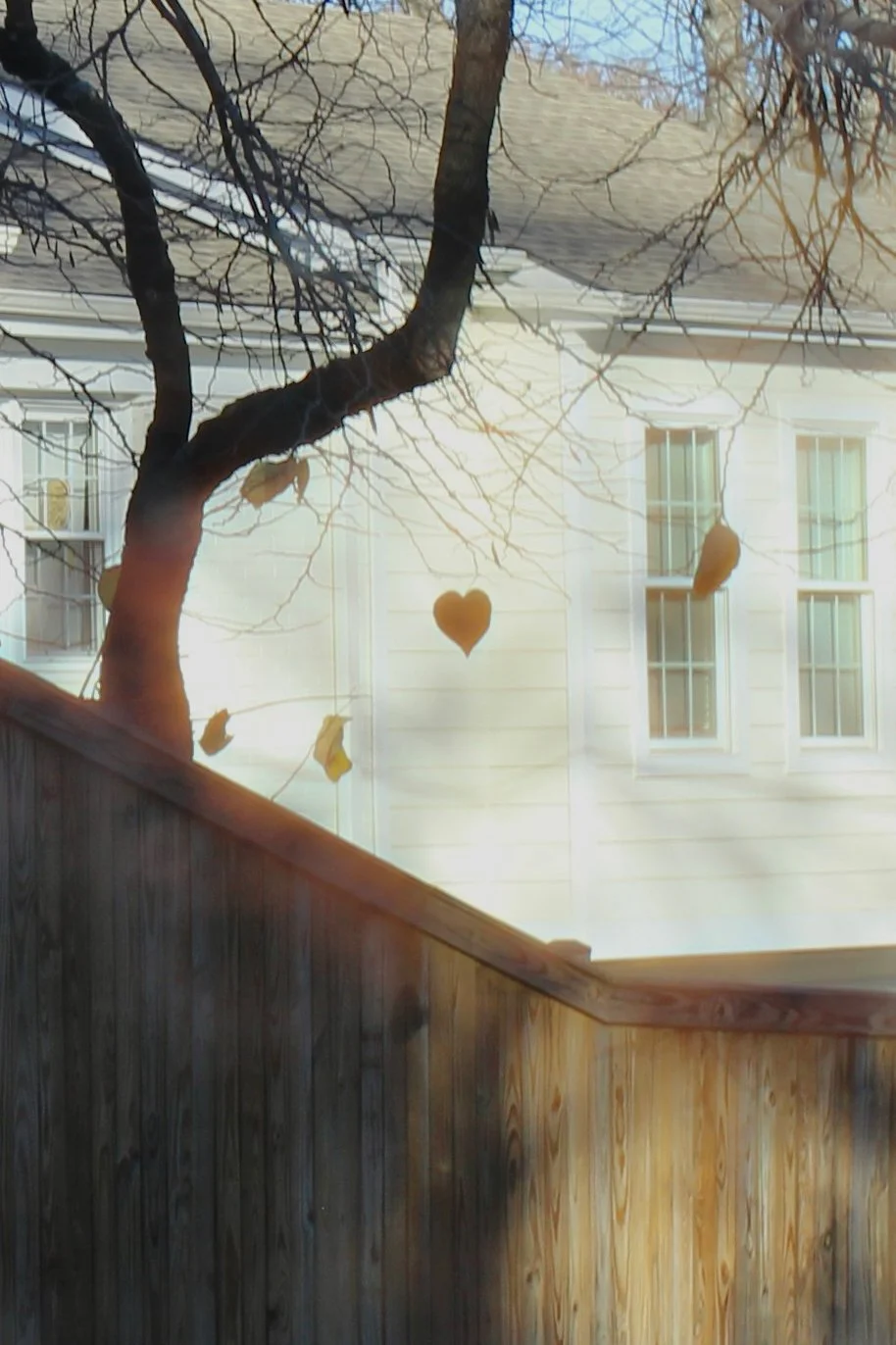 "I snapped this photo on a whim after noticing a lone heart staring back at me. I shared it with a friend, not thinking much of it, when she directed me toward Hunting for Hearts!" - Michaela Kramer of Virginia