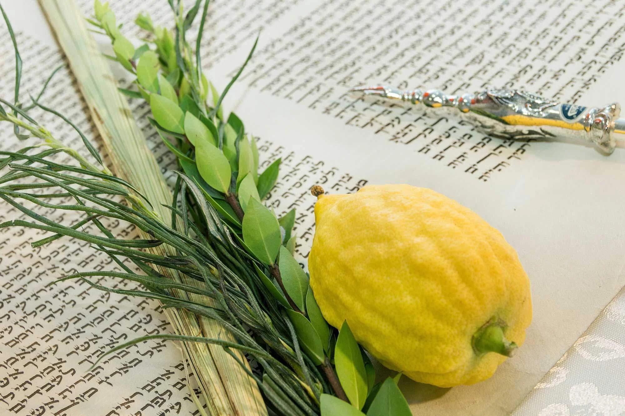 Sukkot 5780