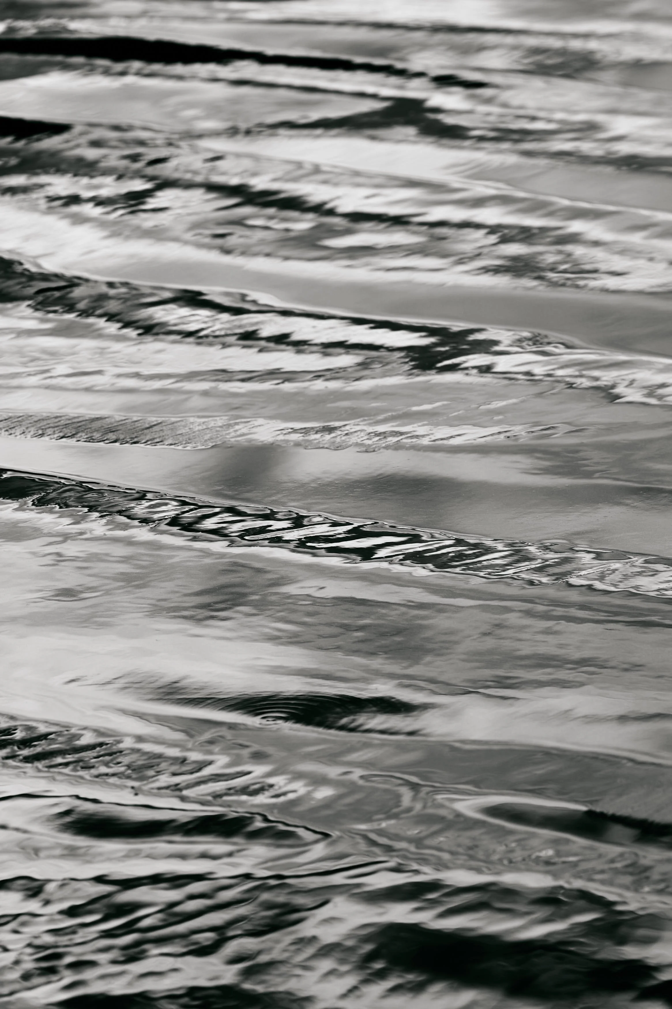 221226_MorroBay-139.jpg