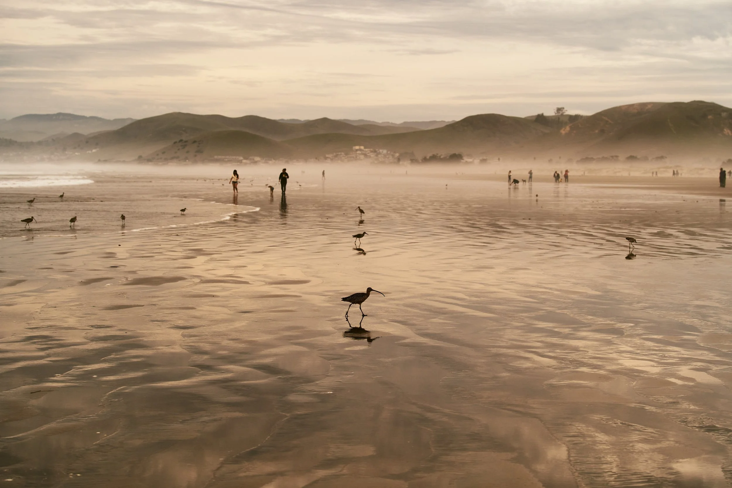 221226_MorroBay-219.jpg