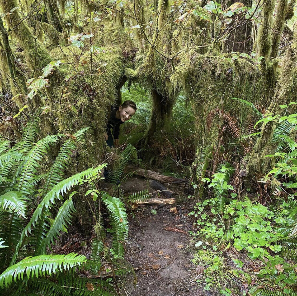 Hoh Rainforest