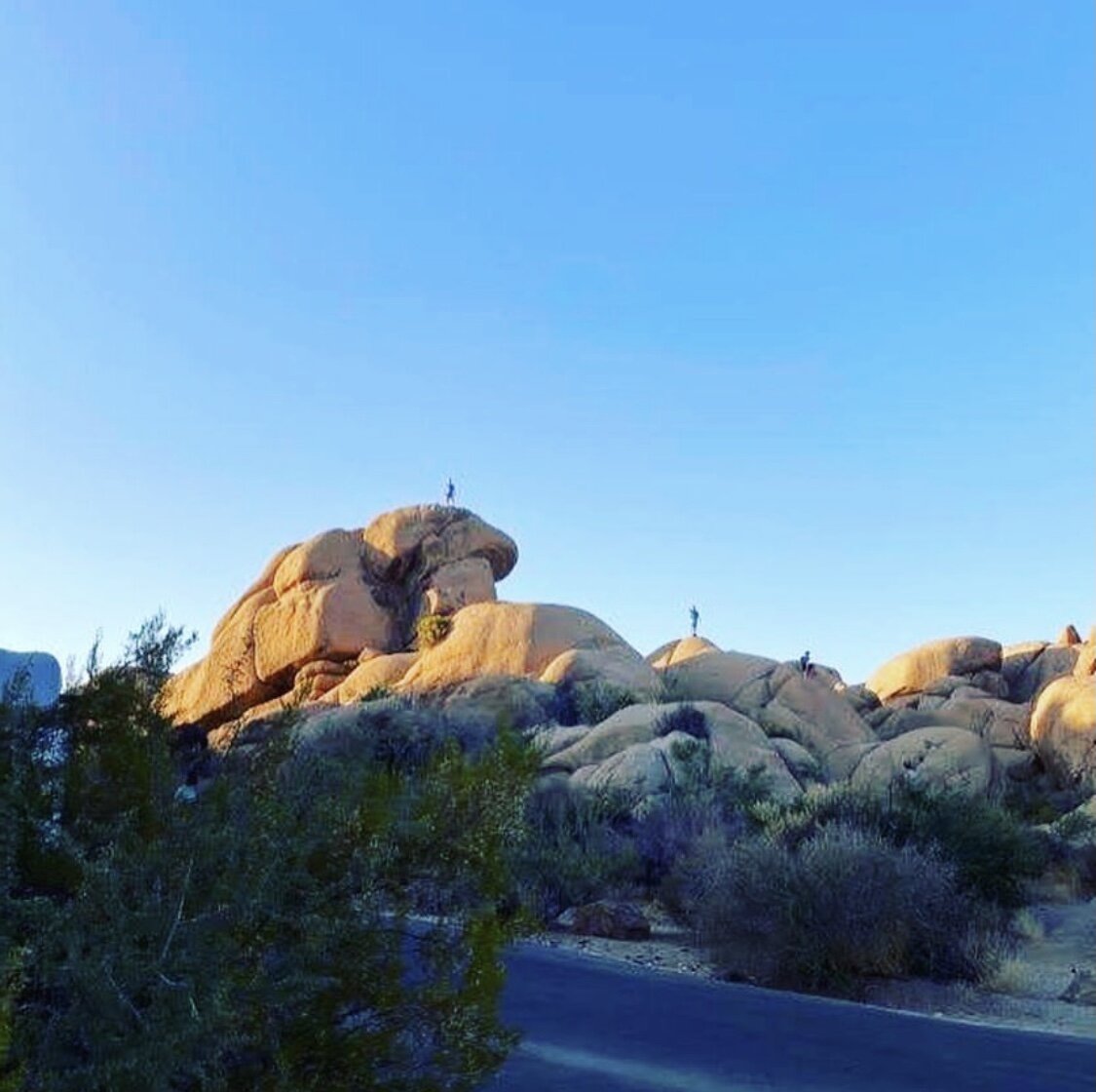 Jumbo Rocks