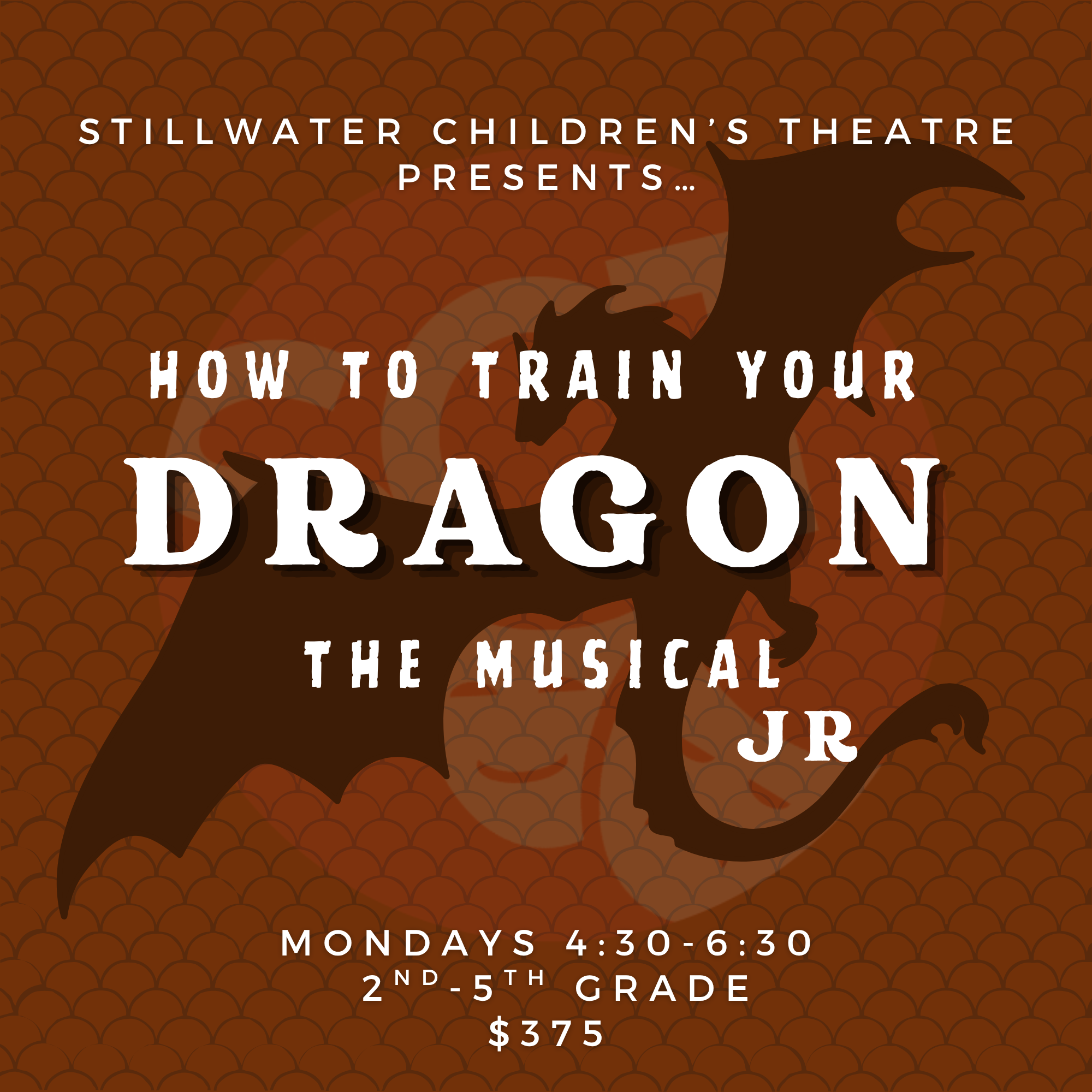 How to Train Your Dragon JR.png
