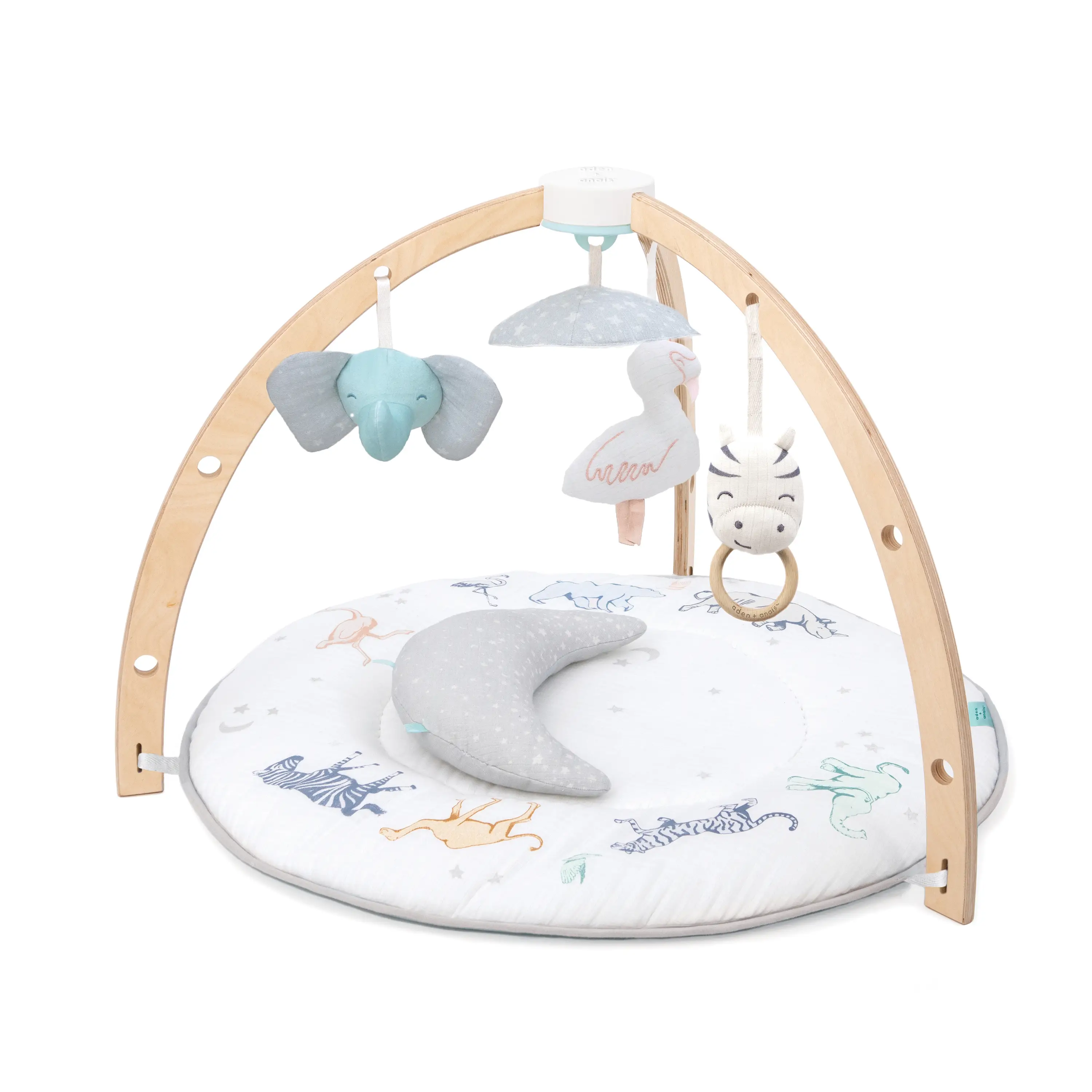 AAGM10001_1-baby-playtime-activity-gym.png