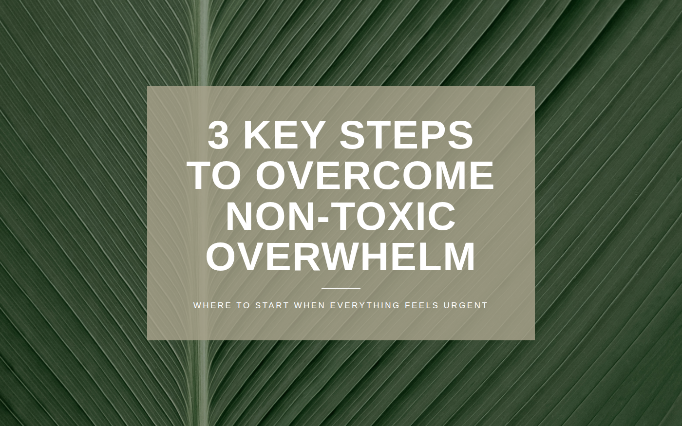 3 Key Steps to Overcoming Low Toxic Living Overwhelm