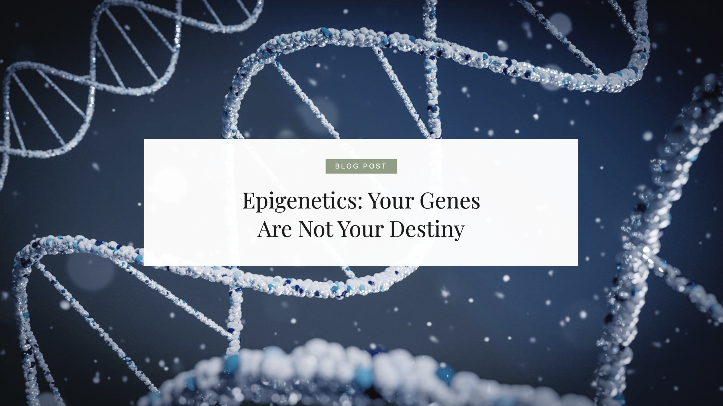 Epigenetics: Your Genes Are Not Your Destiny