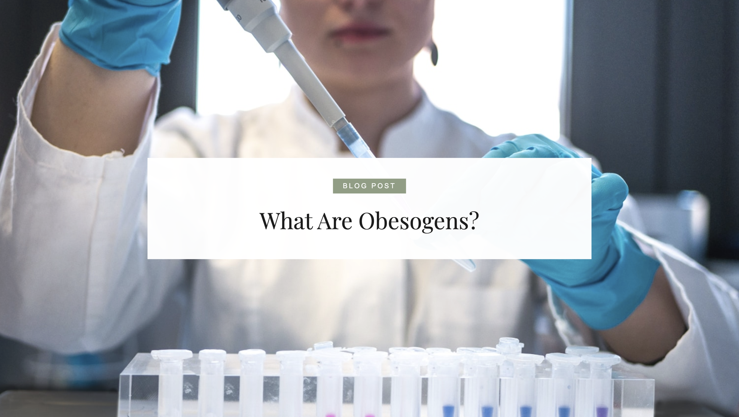 What Are Obesogens?