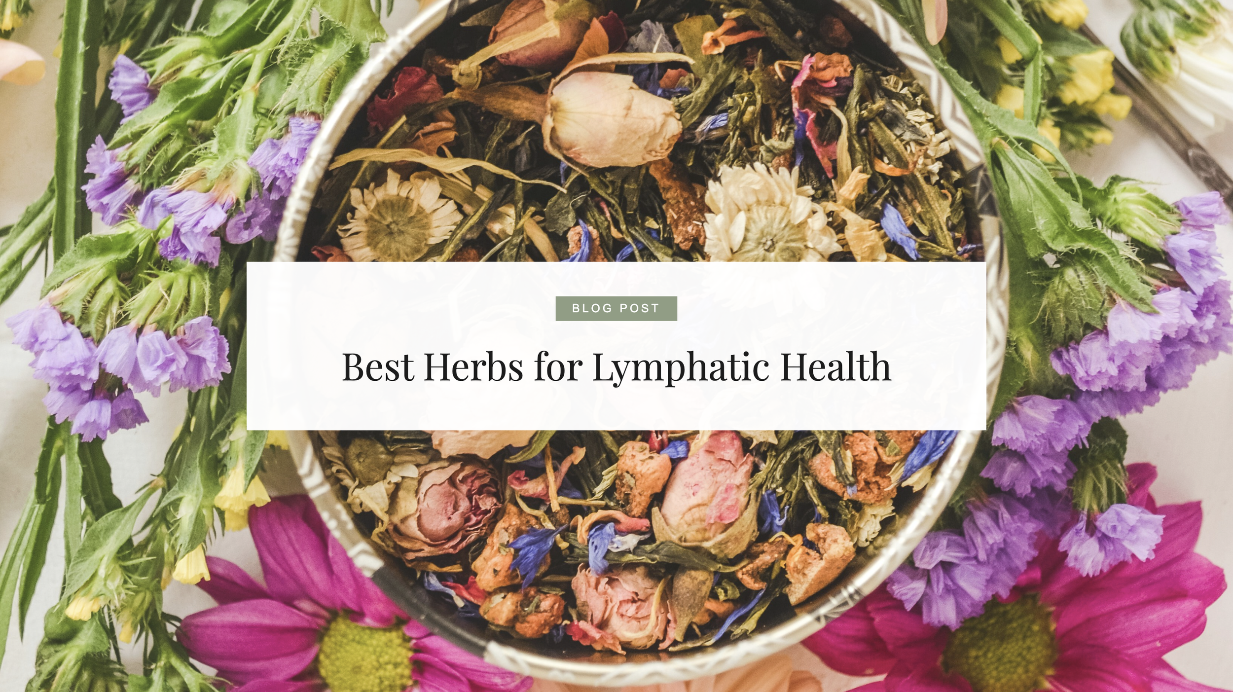 Best Herbs for Lymphatic Health