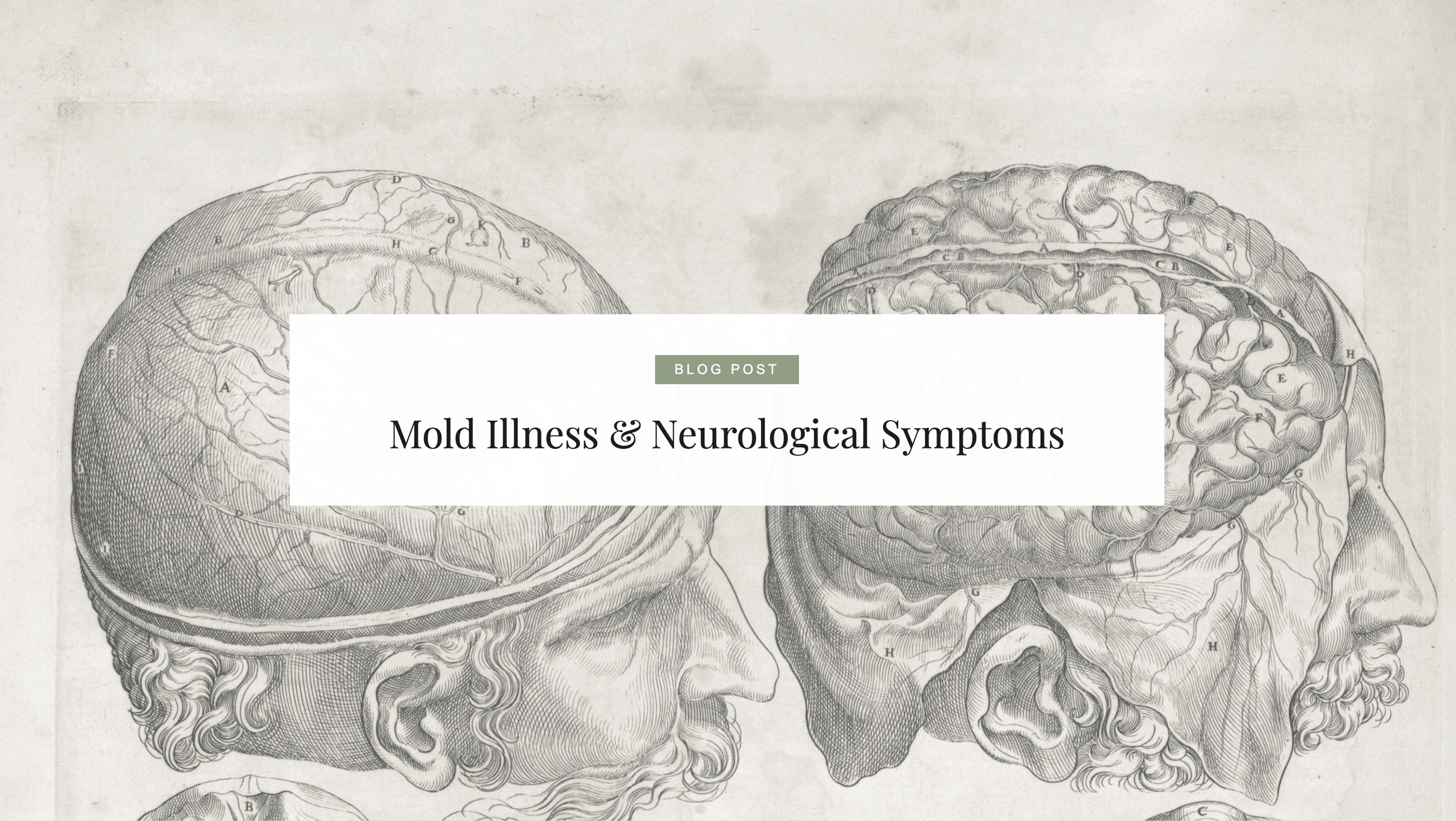 Mold Illness and Neurological Symptoms