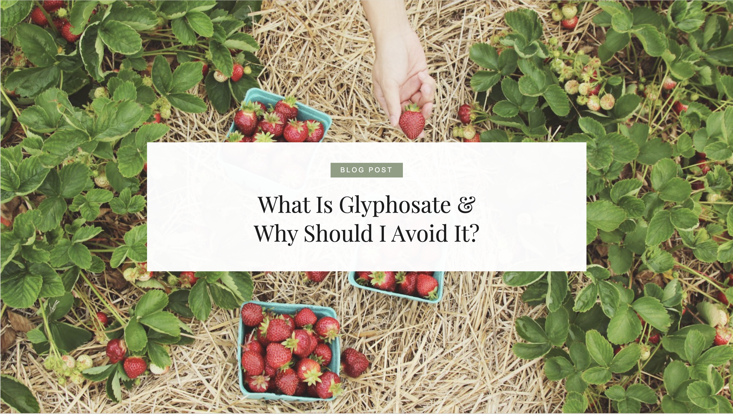 What Is Glyphosate And Why Should You Avoid It? (2026 Update)