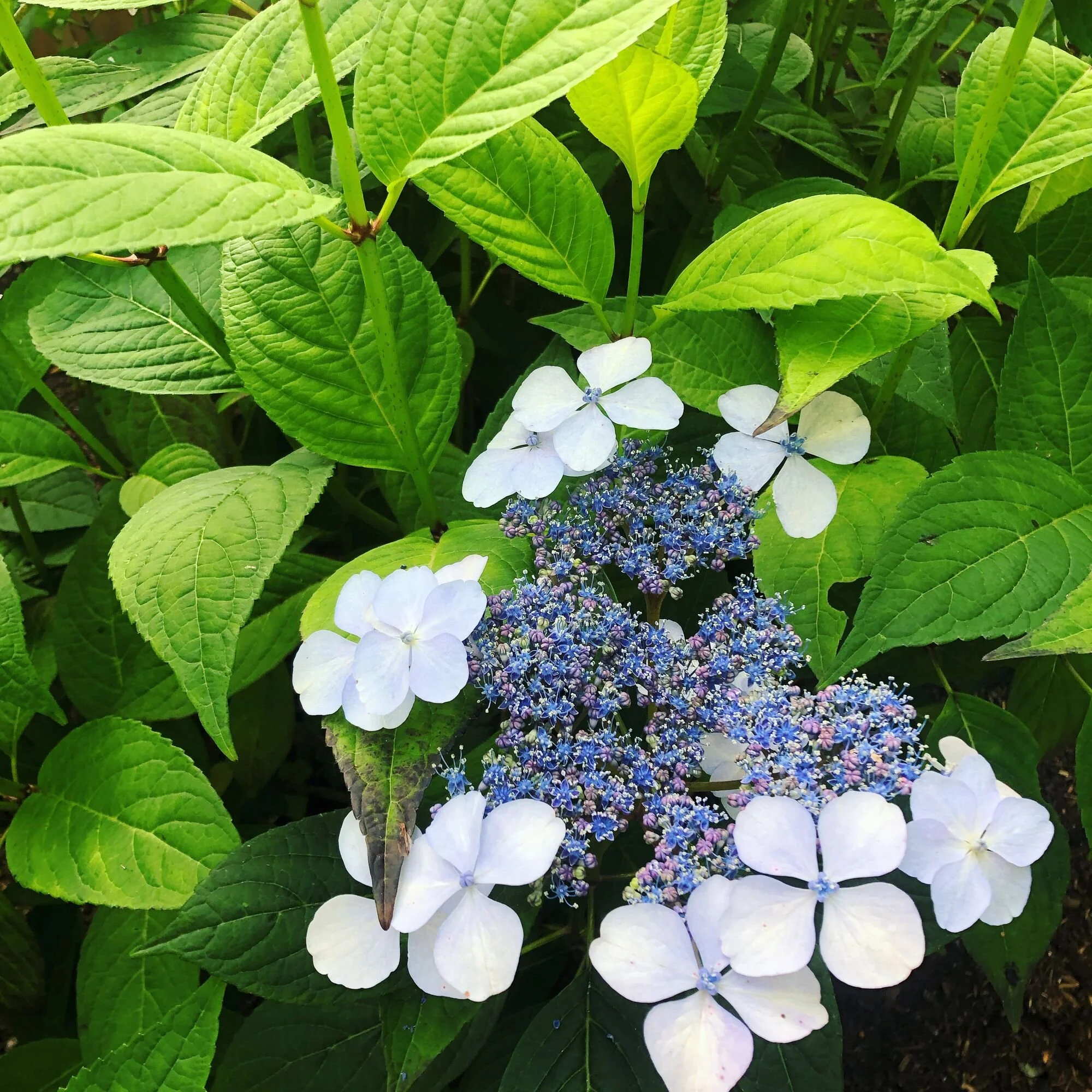 5 Reasons Now is the Time to Create a Rule of Life on Purpose