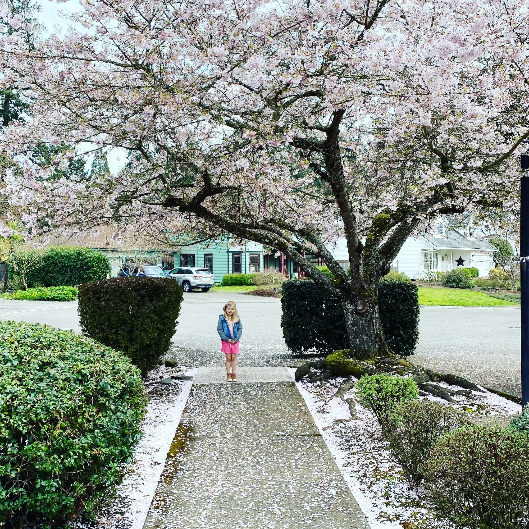 15 Quarantine Things: 5 things I miss, 5 things I do not miss, 5 things I'll keep