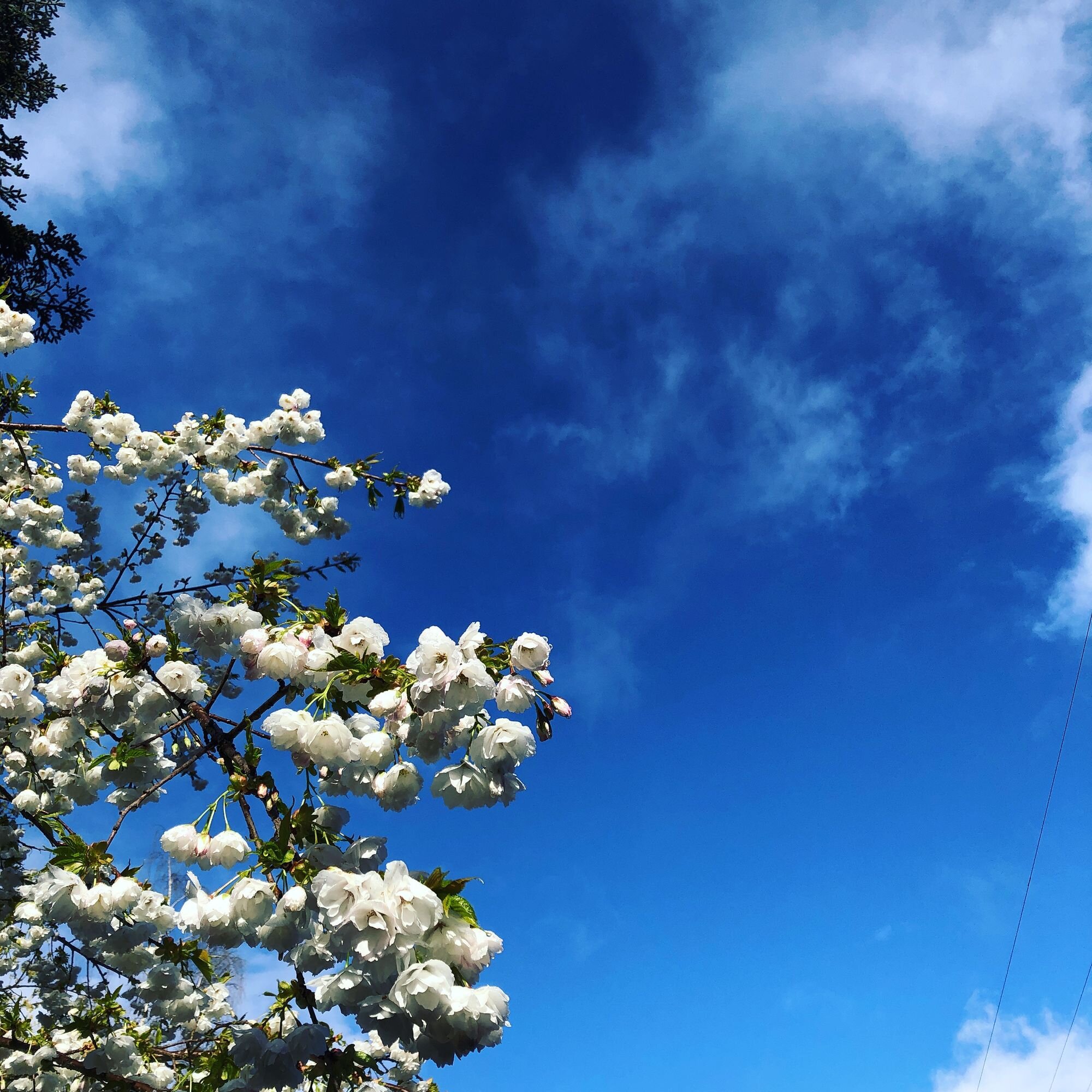 Graduation: an end and a beginning