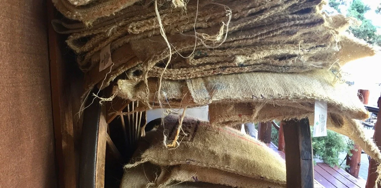 Things I Learned this Winter