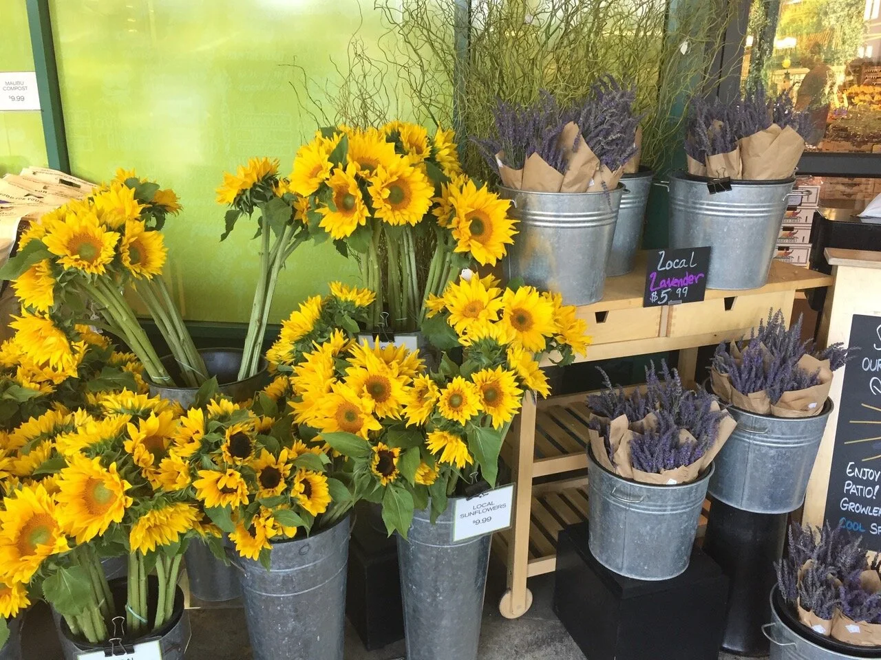 What I Learned this Summer