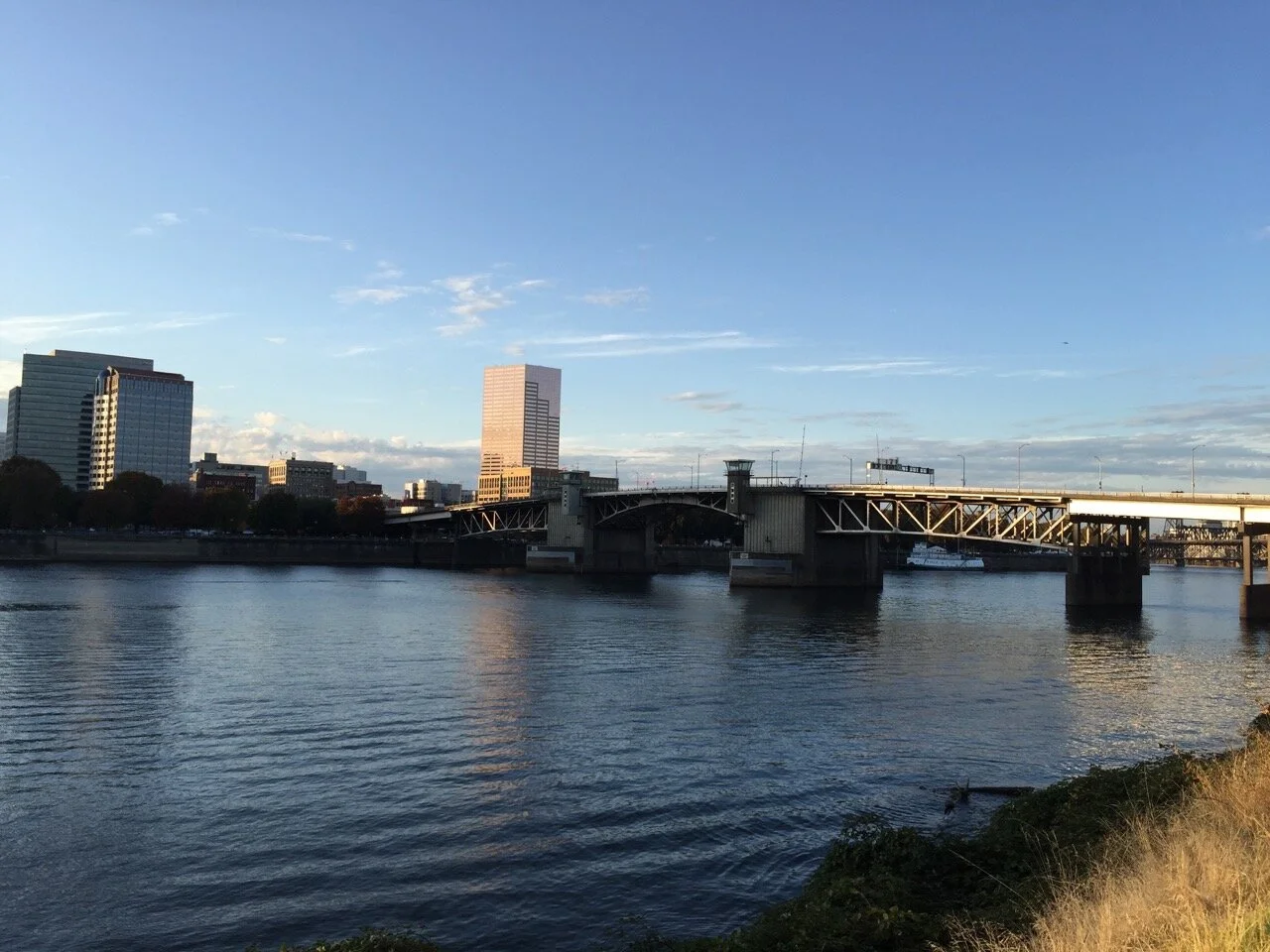 B is for Bridges (an alphabet of autism and grace)