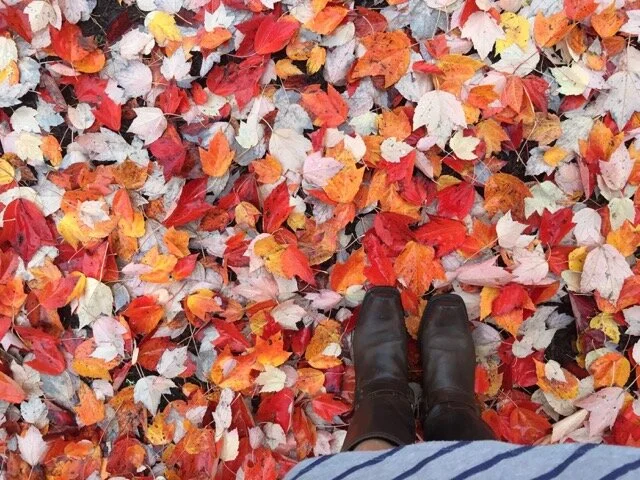 3 Things I Learned this Fall