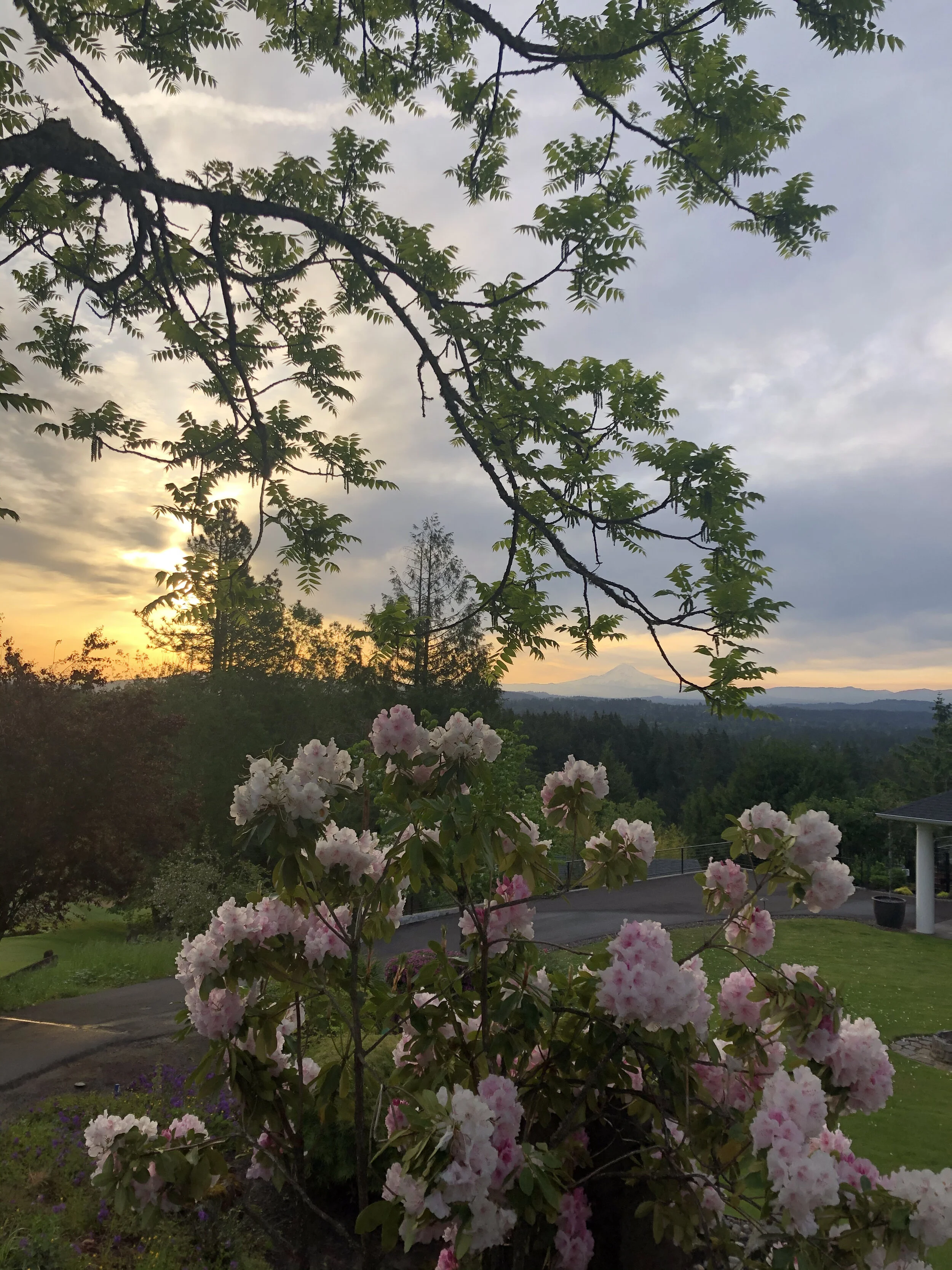 What We Learned this Spring (2021)