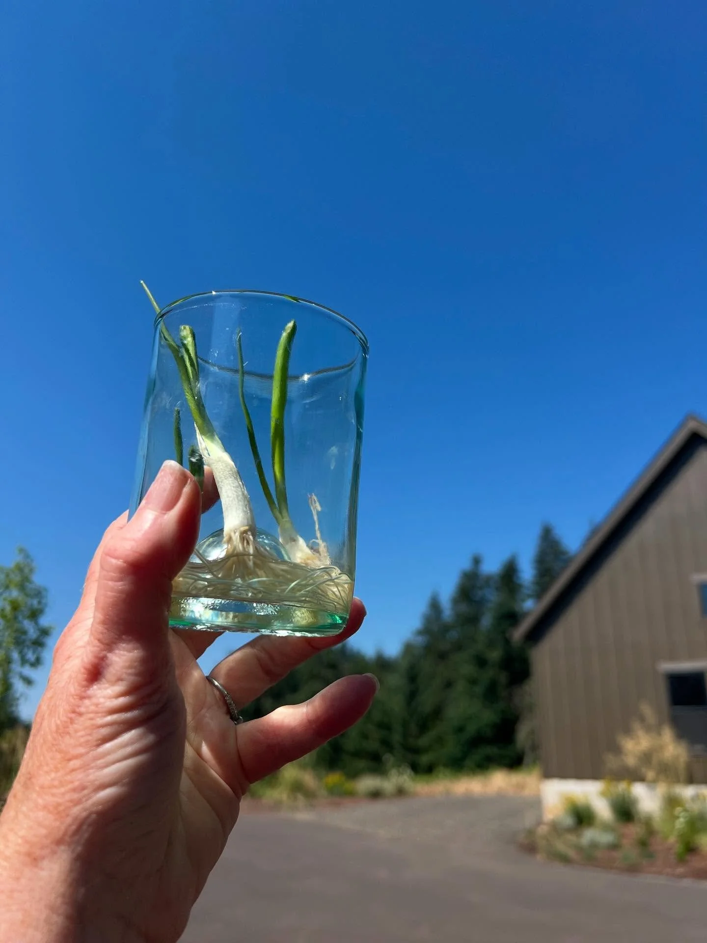 When we don’t know what to do with all the chaos we breathe in. When our hearts are broken over so many injustices. When we feel we might just breathe out more of the same, or forget to breathe, here are some ways to give the world something be