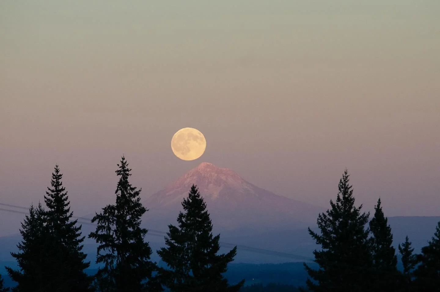 Significant things to notice in life - when things come closer to you, when winds shift or names change, when a new season begins in earnest, how it feels when you&rsquo;re surprised by joy or tears (certainly both at once), and anytime the moonlight