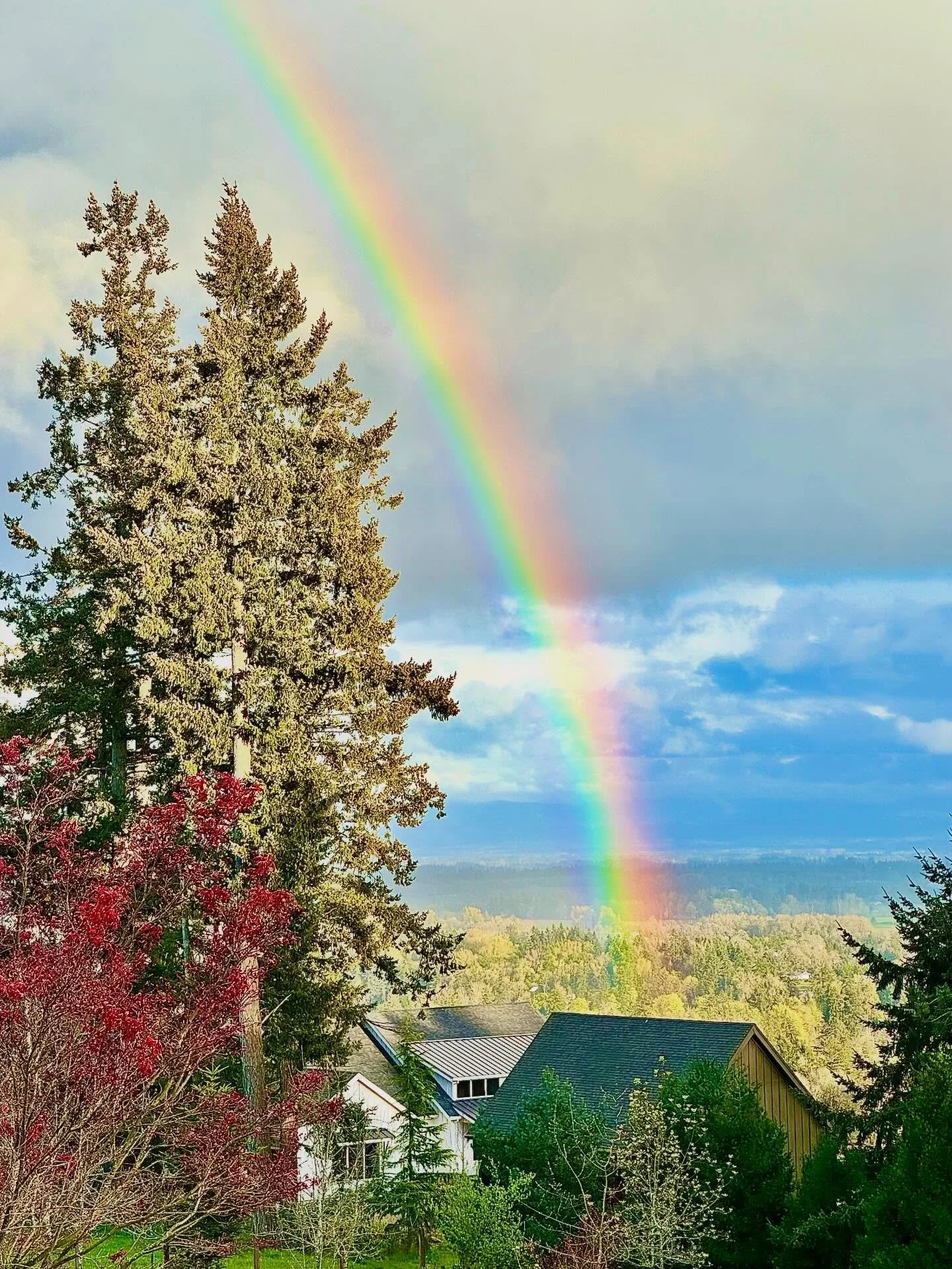 My next door neighbor took this photo from her house looking over ours and sent it to me. Never one to miss a rainbow, clouds, or the moon, I immediately ran outside to look for myself, leaving Mike to wonder what craziness had gotten into me now. Ev
