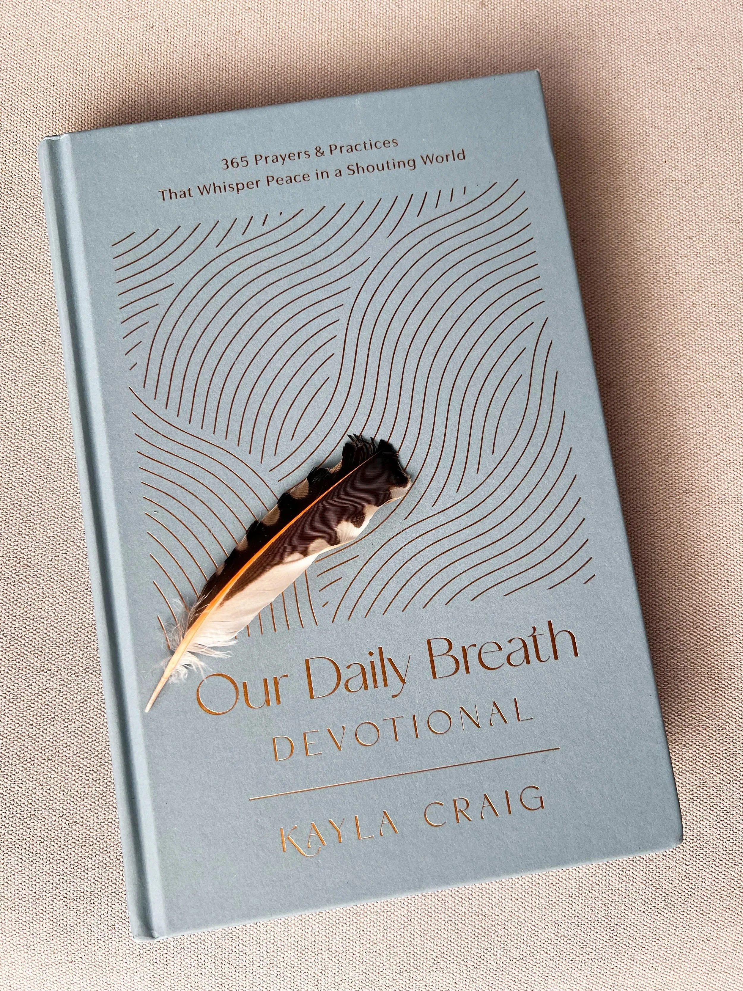 The crazier and meaner the world gets, the more I find myself holding my breath. Then I realize I need to slow down and take deep breaths to remember - even so, there is deep goodness, beauty, and truest true woven into creation and humanity by the v