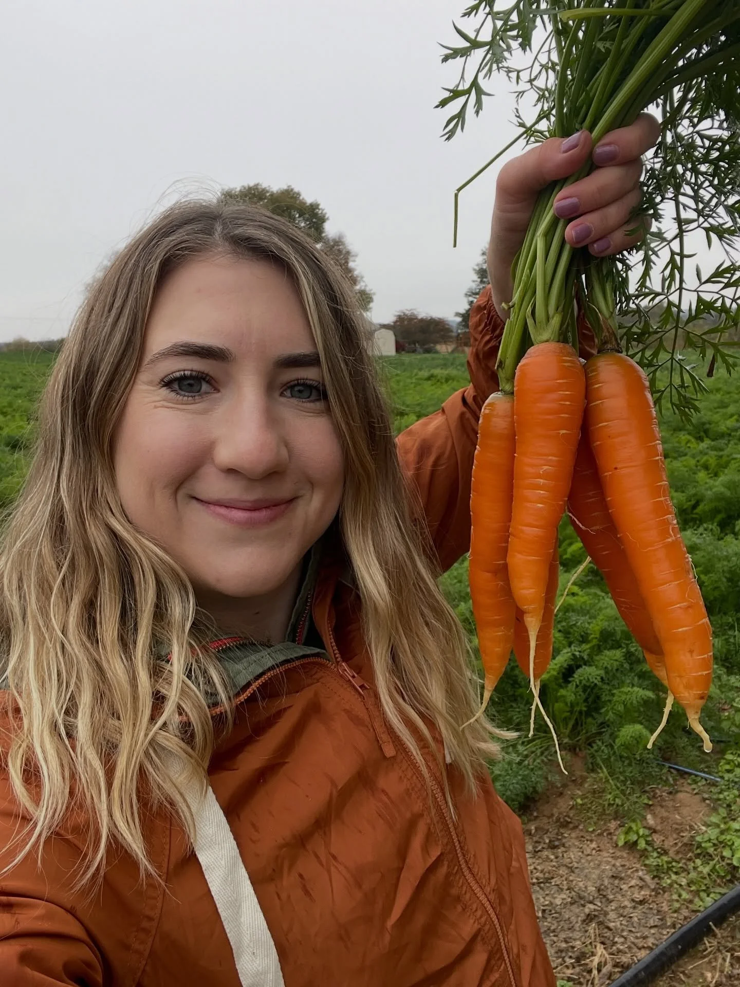 After working in non-profit marketing &amp; communications for years, my breakout gig into the for-profit food world was at a startup called @fridgenomore (OGs know!). It was a 15-minute grocery delivery company that was expanding rapidly, popping up