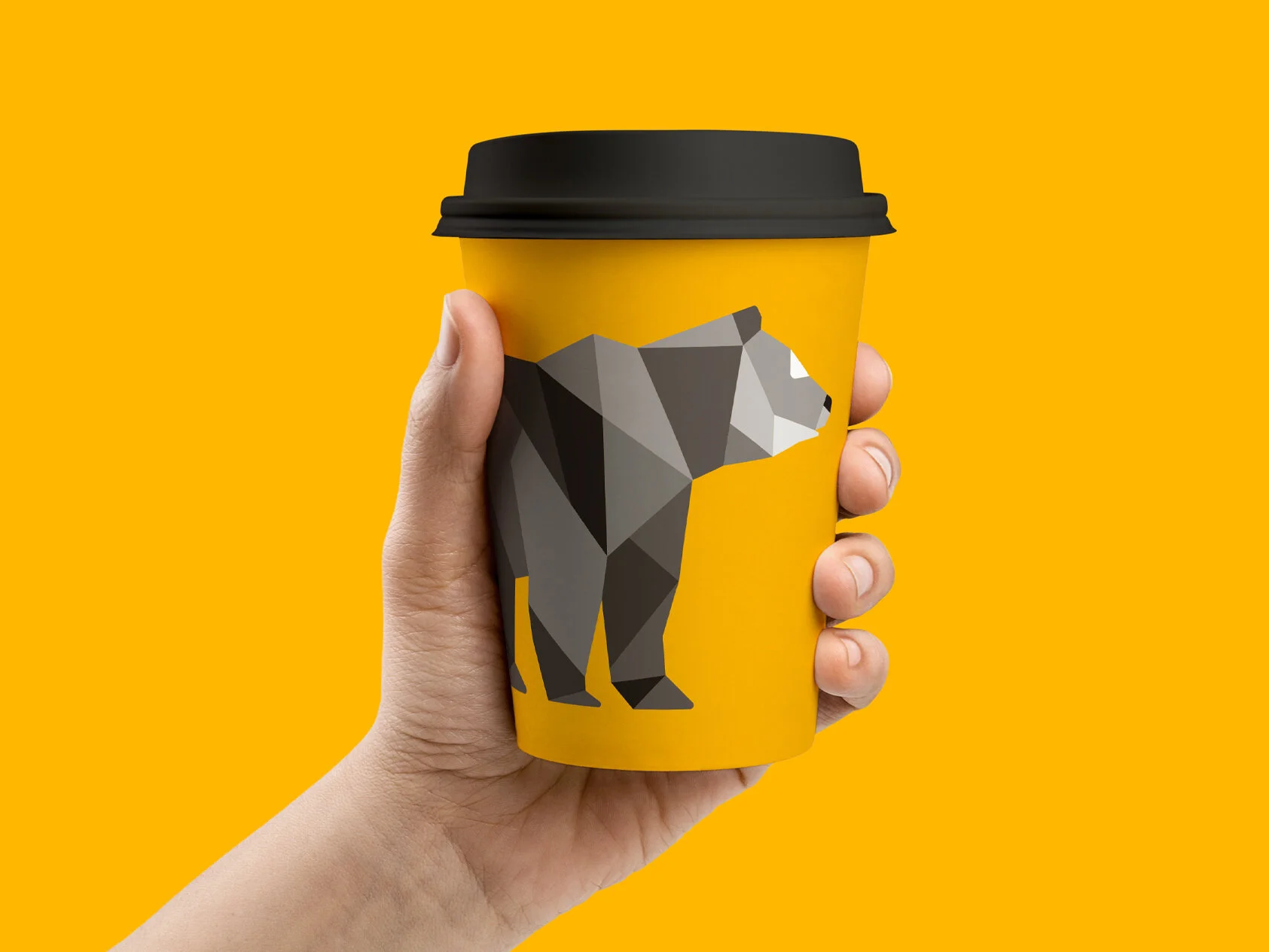 Bruin-02.jpg
