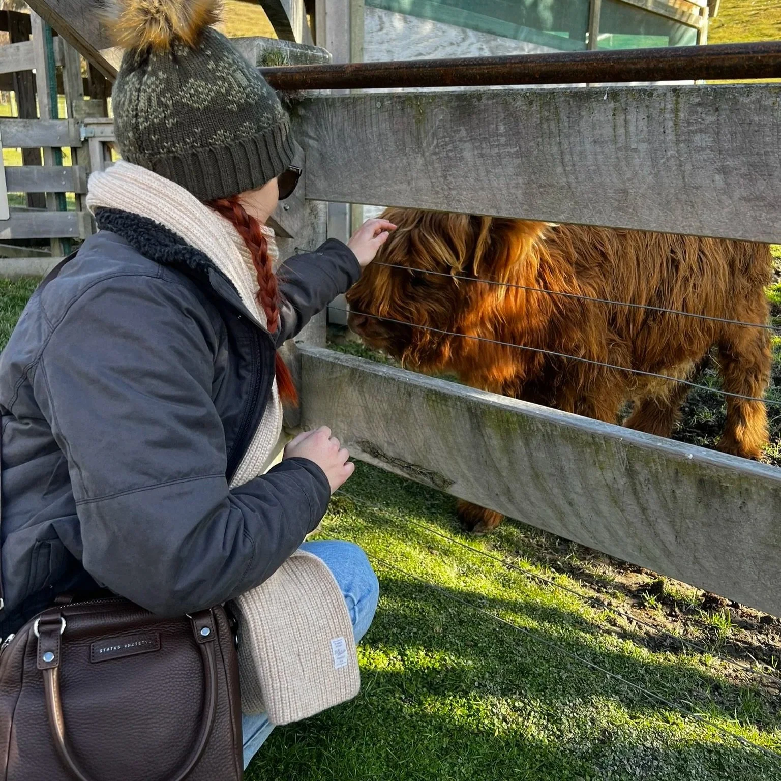 Rochelle patting a highland cow in Queenstown, New Zealand.