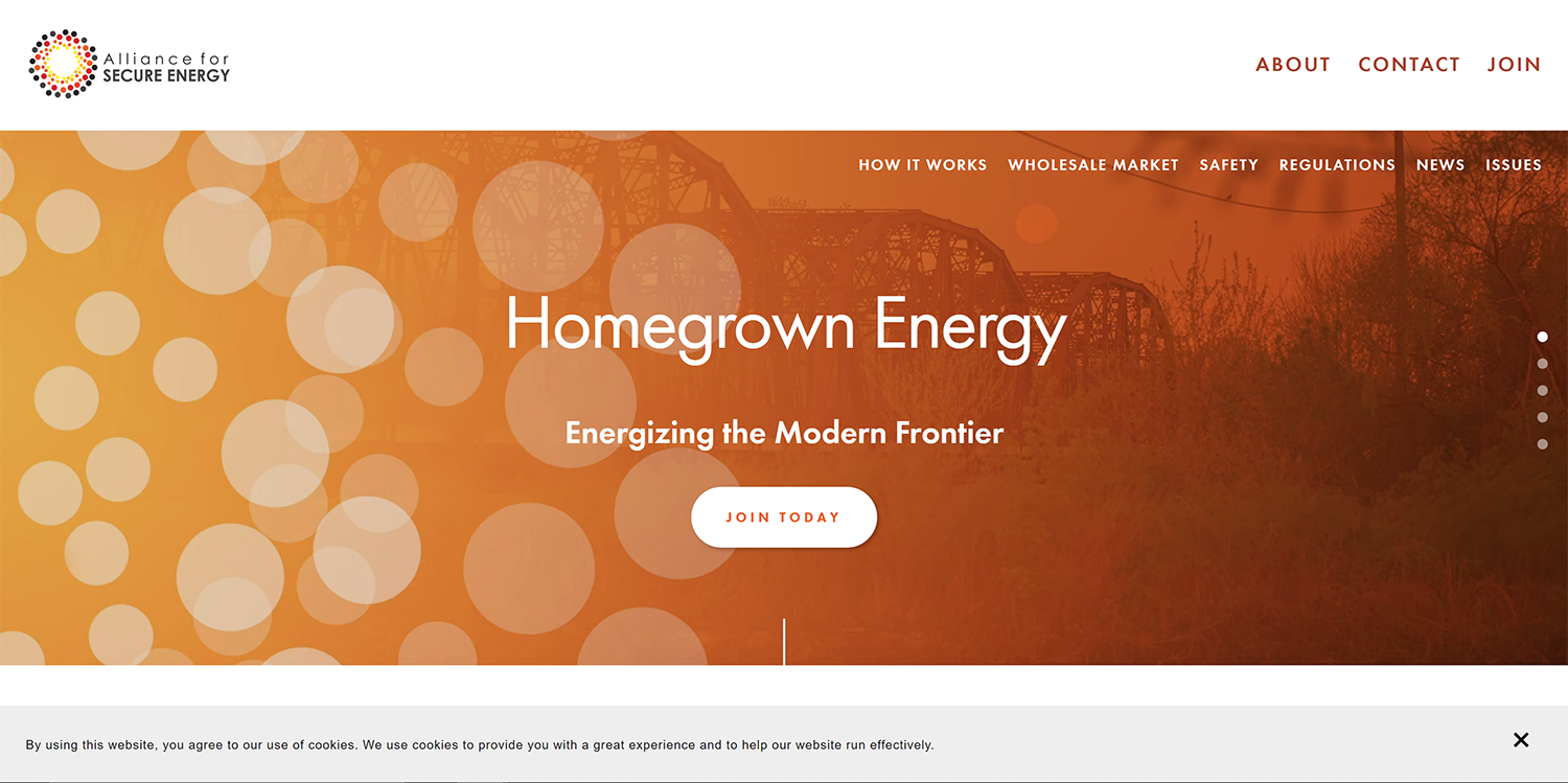 Alliance for Secure Energy 1.png