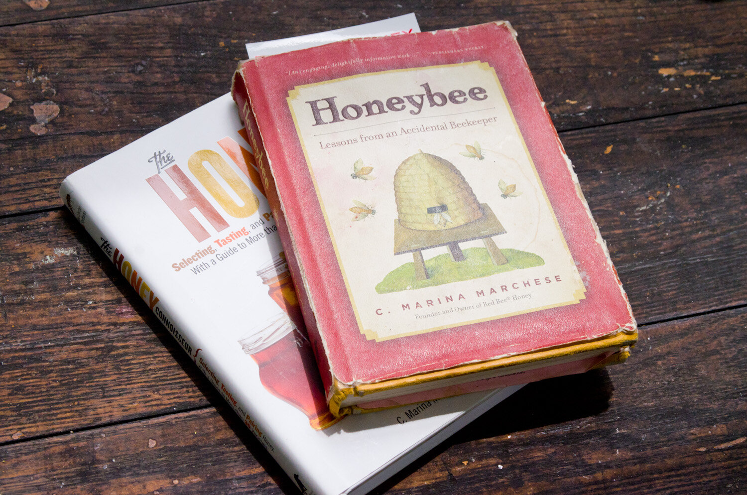 20140617-honey-bees-max-falkowitz-books.jpg