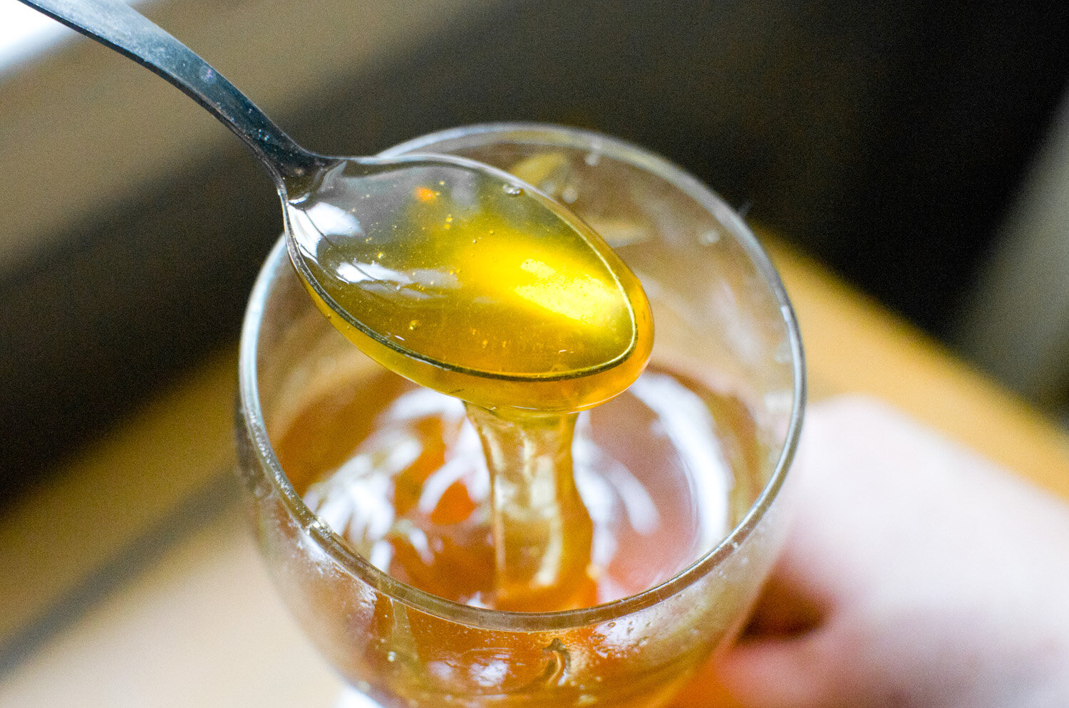 20140617-honey-bees-max-falkowitz-glass.jpg