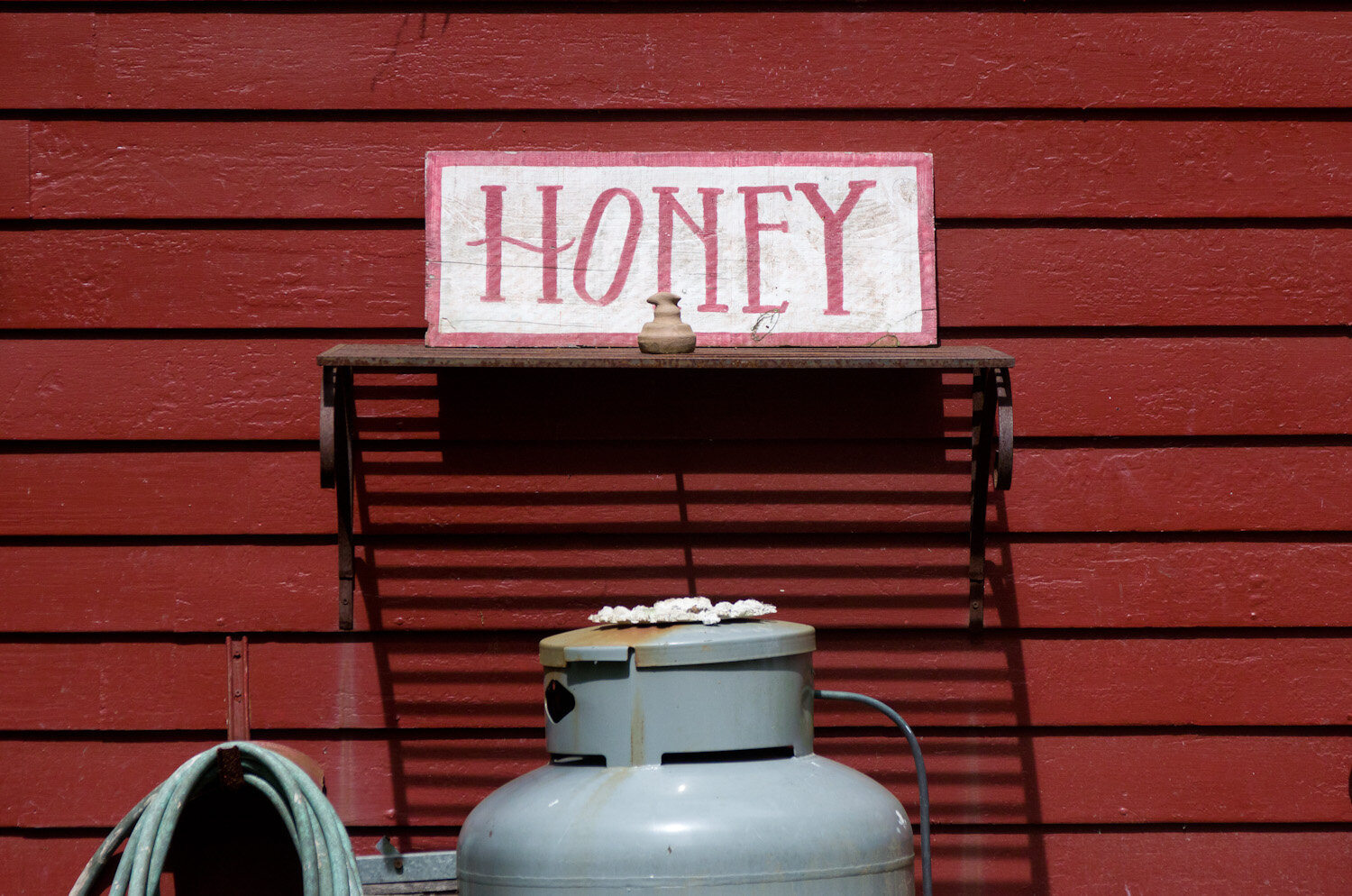 20140617-honey-bees-max-falkowitz-sign.jpg