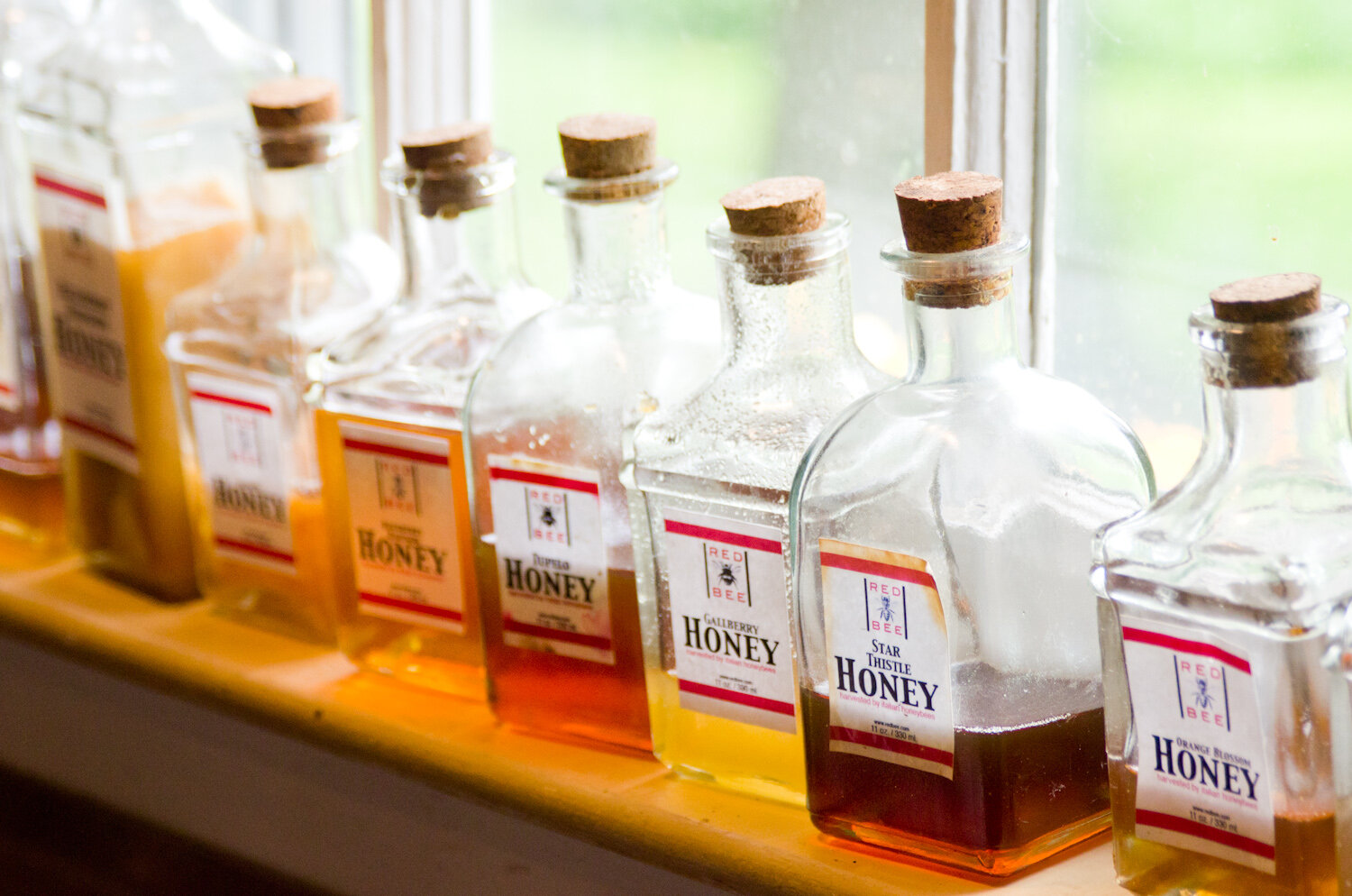 20140617-honey-bees-max-falkowitz-bottles.jpg