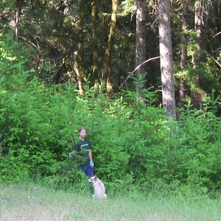@craftyfaithe back in the day in another thicket of little fir trees that were trying to take over this meadow. Without fire to keep the firs in check we&rsquo;ll lose all the meadows on The Land unless we take action. Controlled burning could be a b
