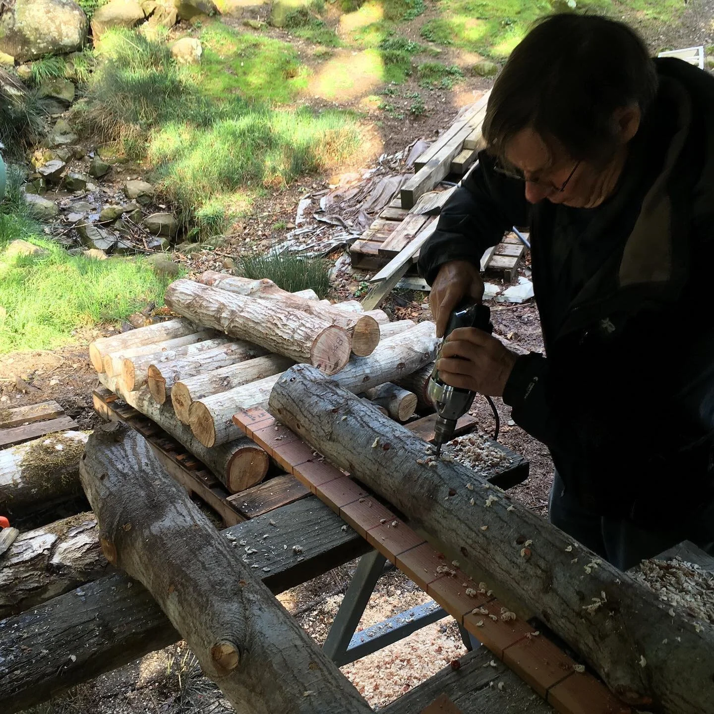 Bill making shiitake mushroom logs! Last pictures (courtesy of @meghanschofield) show the results months later.
