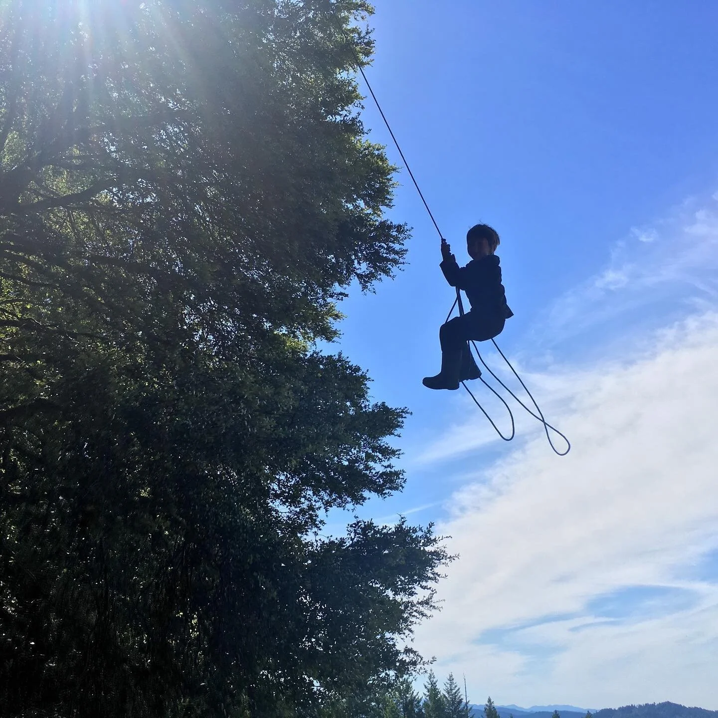 Flying high at the Community House thanks to a temporary rope swing @ethancoonen put in a few years back.