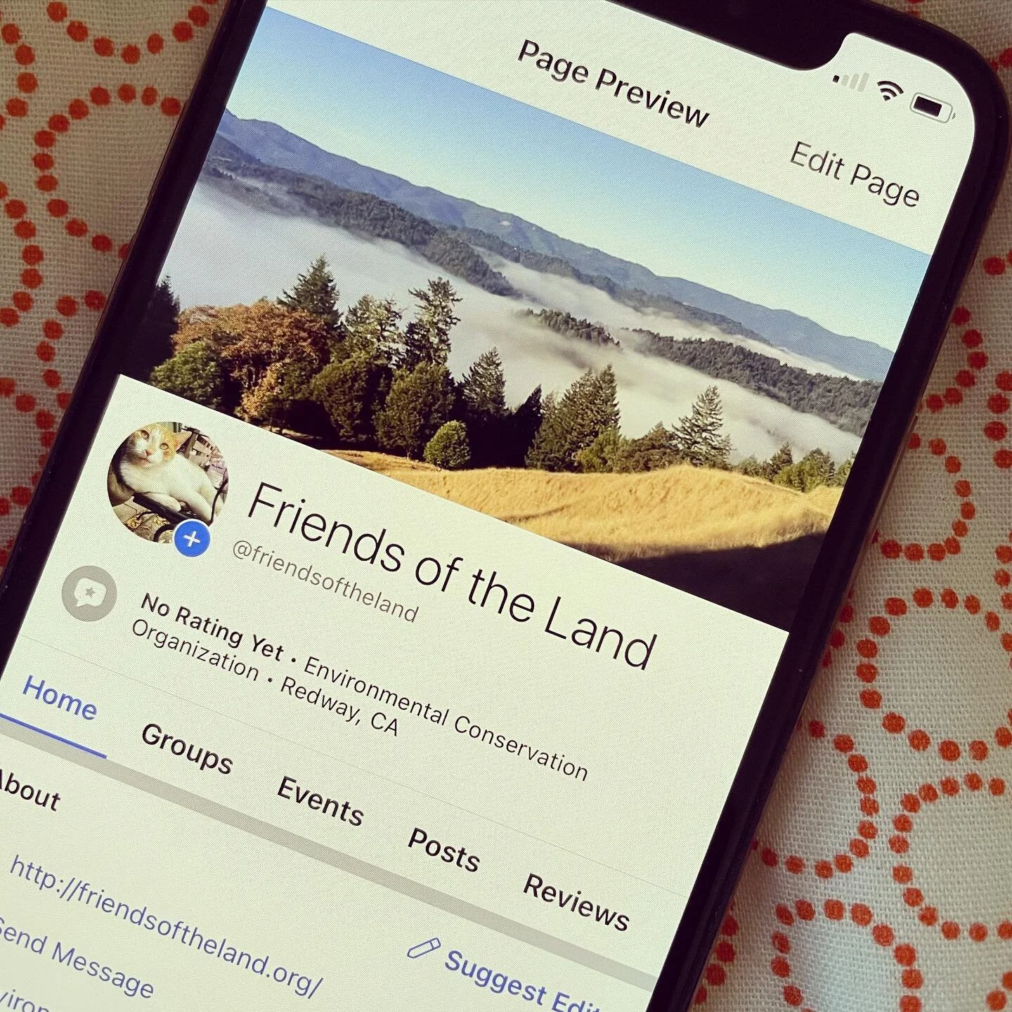 New 👏 Facebook 👏 page! We&rsquo;ll cross post to both - follow from your fav platform OR follow both for double double fun :) Search for @friendsoftheland on FB.
