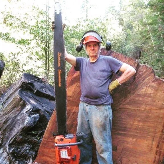 Bill with one heck of a chain saw. And no, he wasn't using it to cut down old growth trees. This picture is from a stream restoration project to improve habitat for fish by mitigating the negative impacts of logging.