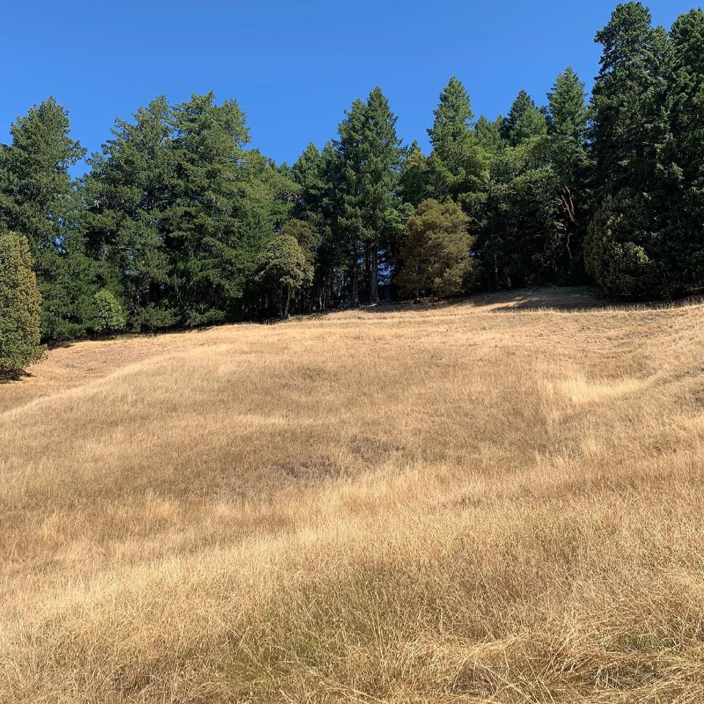 It&rsquo;s still early - but I can feel it, spring time is coming. I want to frolic in the meadows and hike through the woods on the Land!! Who is with me?!? (Photo taken from the road, not in Spring :), looking up at the mostly hidden community hous