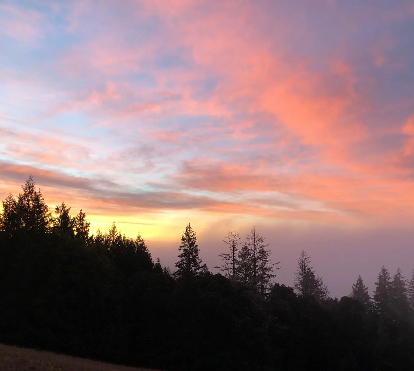 I miss sunrises on the land! (Picture by @jessiewood108)