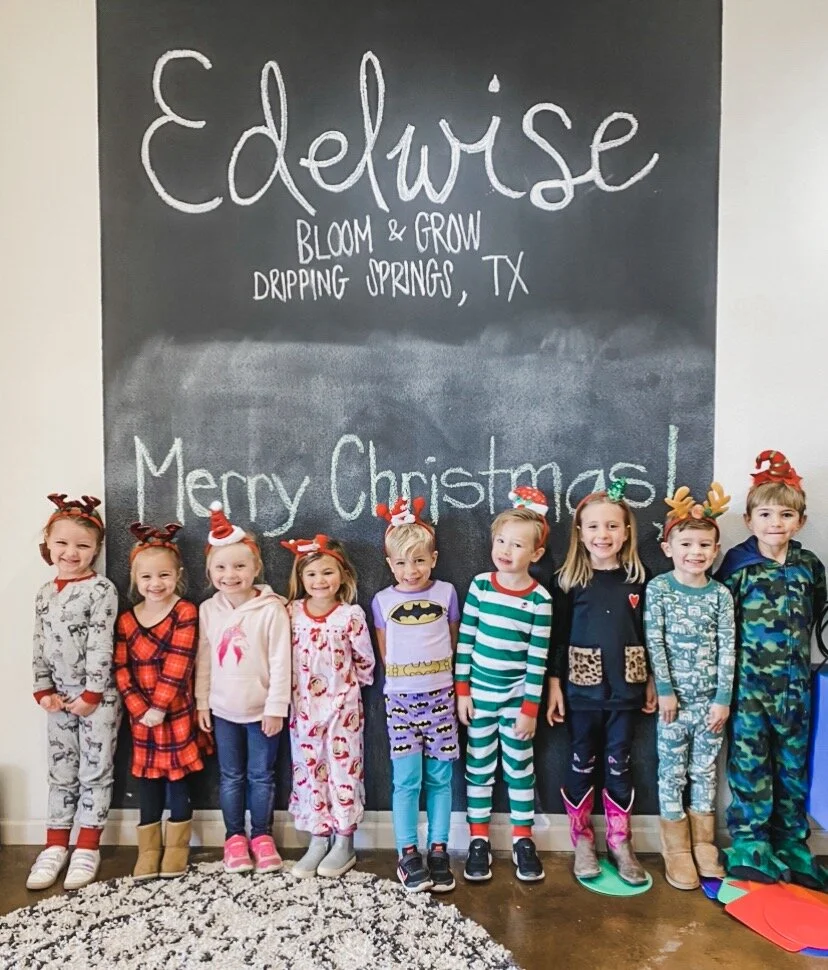 Programs — Edelweiss