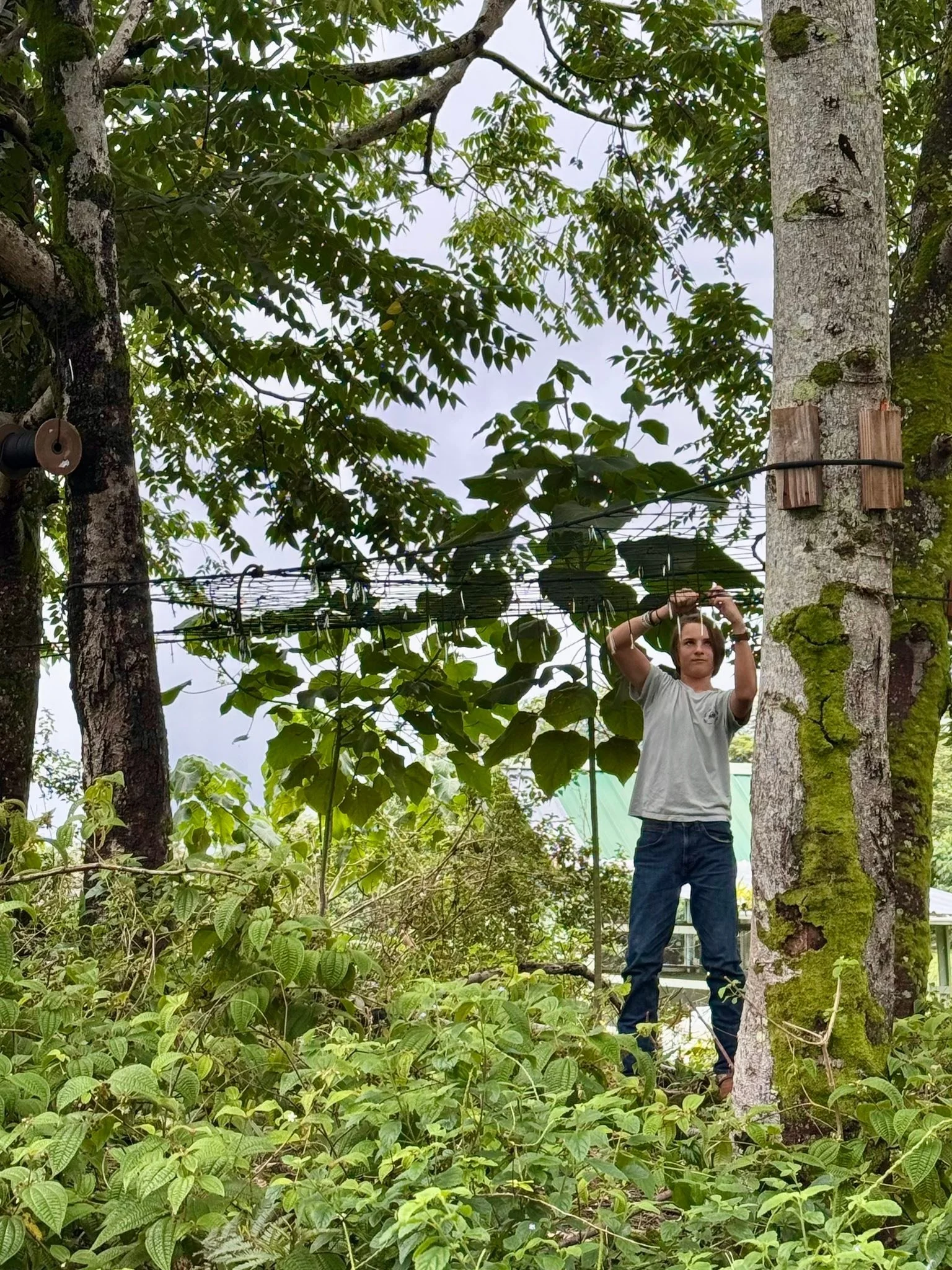 Skipping school to WorkPlay outside is always good with me💯
Ever &amp; 8 hrs into his Tree Web🕸️