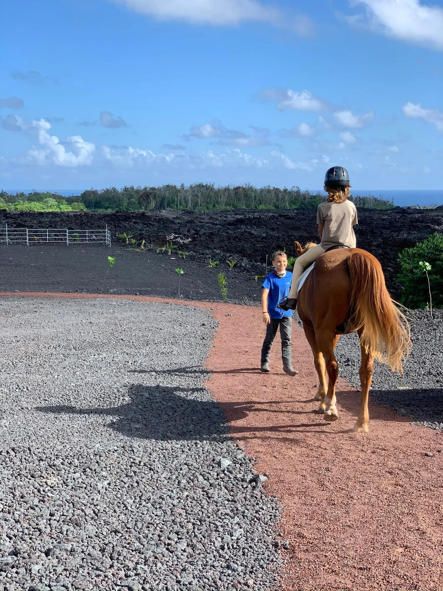 After so much loss, before so much growth ~ there was this kid and his horse and nothing else mattered more. Maybe we can all remember what matters most❤️
Ever &amp; Dan, 2020 (2 years post Pele)
#beyondthegaits #samanthaverse