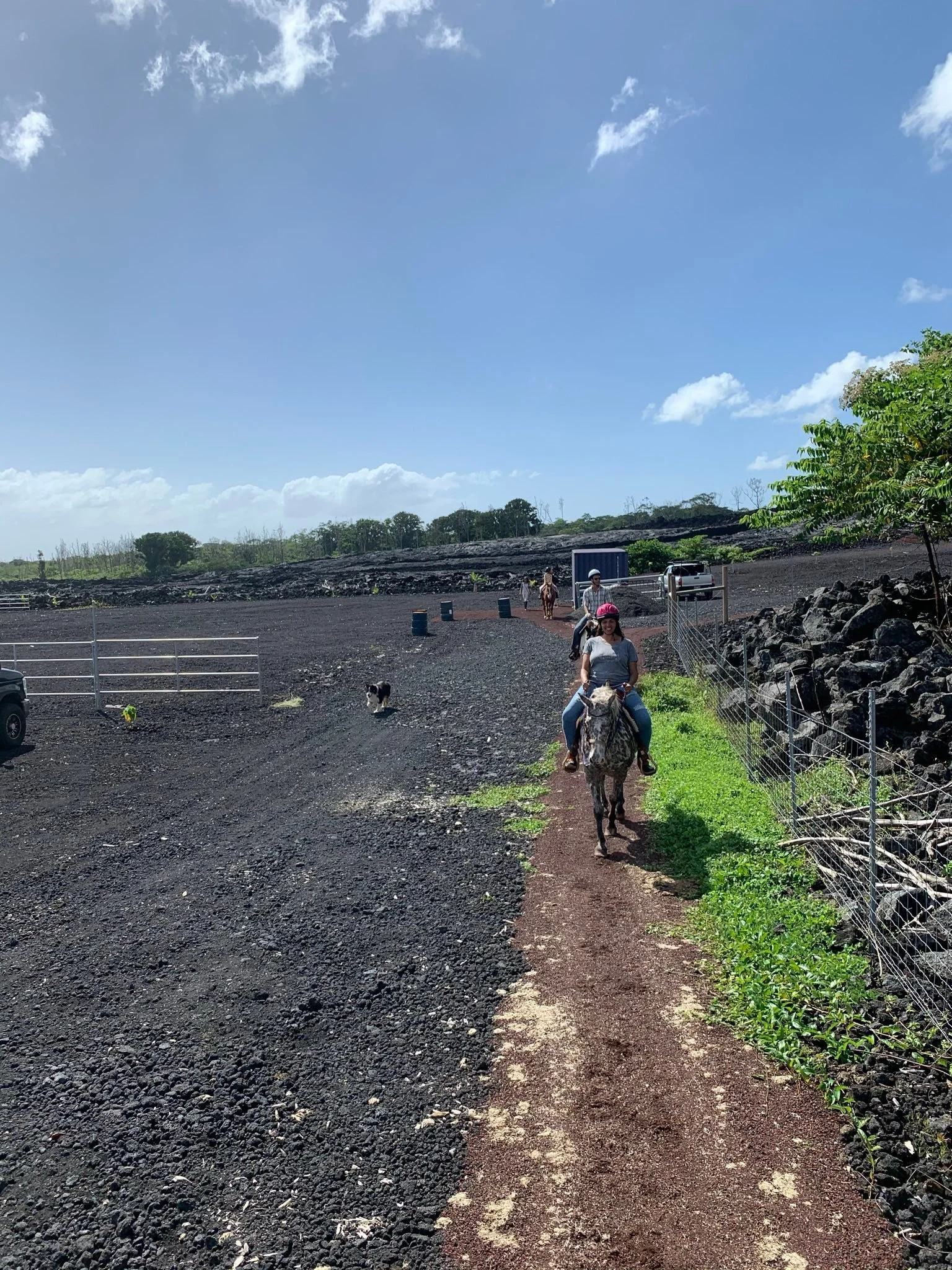 Tiny heart full of gratitude for all that has been and all that is meant to be🏹
#samanthaverse