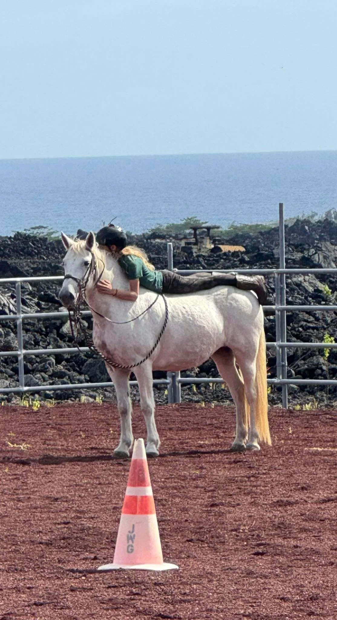 Opening up the barn this Saturday for anyone who is interested in meeting Alana. I had so much interest that I honestly cant remember everyone so feel free to reach out again. She is quickly becoming a great horse now with multiple kids riding her (s